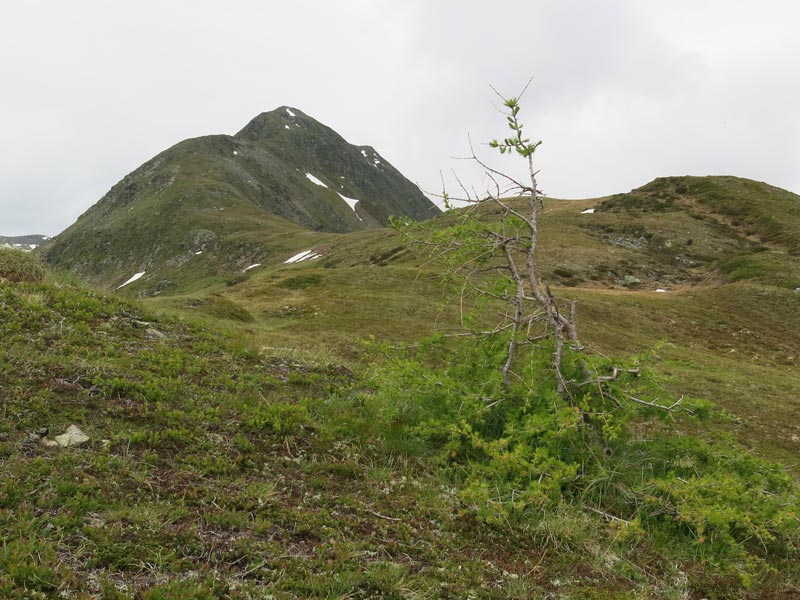 Merschenhöhe